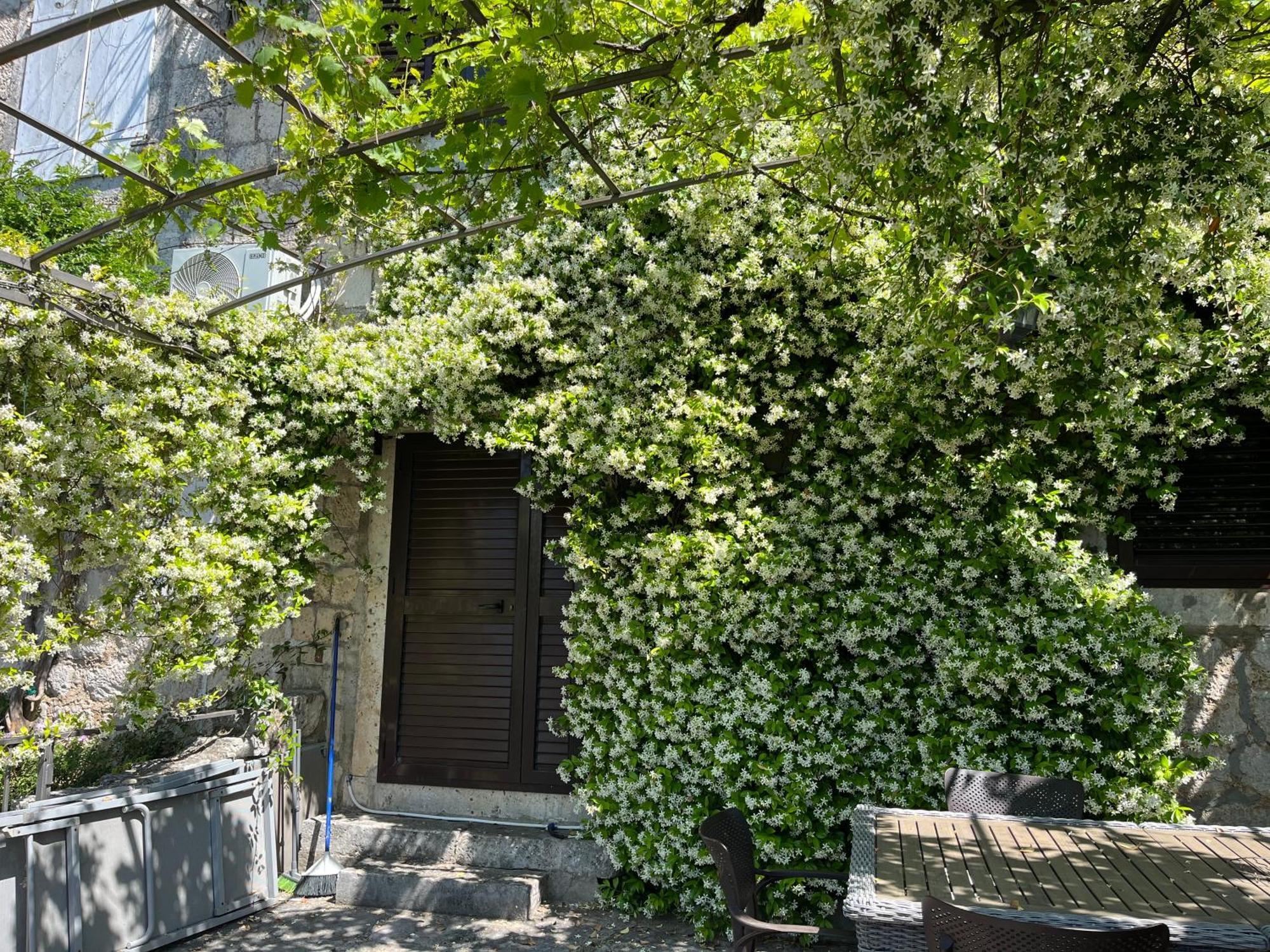 Appartement Be Happy In Perast Extérieur photo
